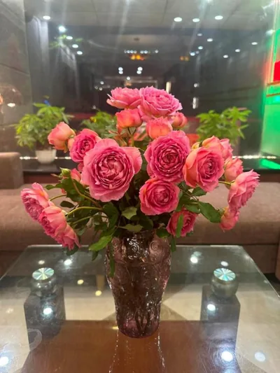 Hoa Hồng Hotel 2 - Xã Đàn – Fotos 12
